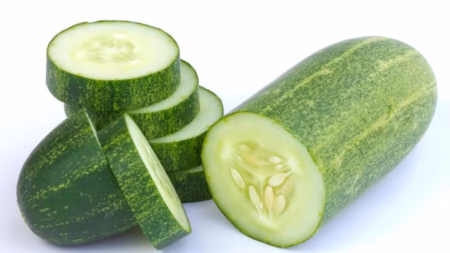 2. Dưa chuột chứa chủ yếu là nước và chất điện giải. Vì vậy, bạn nên ăn nhiều dưa chuột để chống lại nắng nóng như thiêu đốt của mùa hè. Ảnh: Wisegeek. 2. Dưa chuột chứa chủ yếu là nước và chất điện giải. Vì vậy, bạn nên ăn nhiều dưa chuột để chống lại nắng nóng như thiêu đốt của mùa hè. Ảnh: Wisegeek.