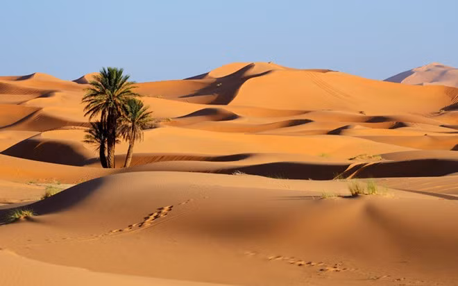 Sahara, Bắc Phi: Sa mạc nóng lớn nhất thế giới trải rộng trên 10 quốc gia ở Bắc Phi, với diện tích lên tới 9.400.000 km2. Sahara có những khu cồn cát, các cao nguyên đã và thung lũng khô cằn. Nguồn nước ở đây rất khan hiếm và ít ỏi, với ngoại lệ là sông Nile ở Ai Cập. Du khách khó có thể tiếp cận phần lớn Sahara, nhưng có thể ngắm nhìn trời sao trên sa mạc ở Merzouga và Zagora.