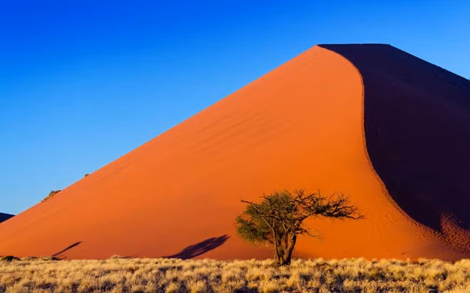 Sa mạc Namib: Trải rộng 81.000 km² ở phía tây nam châu Phi, sa mạc Namib gần như không có người sinh sống, trừ một số cụm dân cư nhỏ. Với những biển cát rộng lớn gần bờ nước tới các dải đá hiểm trở sâu trong đất liên, sa mạc Namib có hệ động vật hoang dã phong phú, trong đó có nhiều loài quý hiếm như tê giác đen, báo đốm, ngựa vằn.