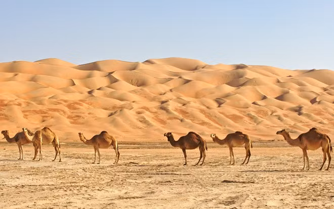 Sa mạc Empty Quarter, Bán đảo Ả Rập: Trải rộng 650.000 kmw, qua Ả Rập Saudi, Oman, Các Tiểu vương quốc Ả Rập Thống nhất và Yeman. Empty Quarter có lẽ là sa mạc điển hình nhất thế giới, với những cồn cát nối tiếp nhau. Các du khách có thể dễ dàng tiếp cận phần sa mạc gần Dubai hay Abu Dhabi.