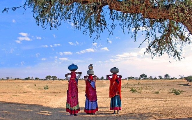 Sa mạc Thar: Sa mạc này bao phủ một phần Rajasthan (Ấn Độ), một phần Punjab và Sindh ở Pakistan. Thar có những khu vực đất cát và thảo nguyên, với hệ động vật phong phú và những cây keo tuyệt đẹp. Du khách có thể trải nghiệm cảm giác cưỡi ngựa trên thảo nguyên ở đây. Sa mạc Thar: Sa mạc này bao phủ một phần Rajasthan (Ấn Độ), một phần Punjab và Sindh ở Pakistan. Thar có những khu vực đất cát và thảo nguyên, với hệ động vật phong phú và những cây keo tuyệt đẹp. Du khách có thể trải nghiệm cảm giác cưỡi ngựa trên thảo nguyên ở đây.