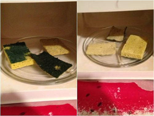 2 phút mỗi ngày tiêu diệt sạch 10 triệu vi khuẩn trong giẻ rửa bát - 1