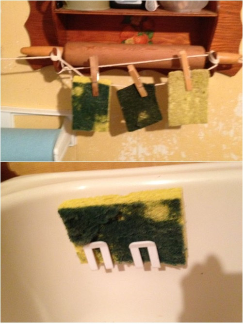 2 phút mỗi ngày tiêu diệt sạch 10 triệu vi khuẩn trong giẻ rửa bát - 2