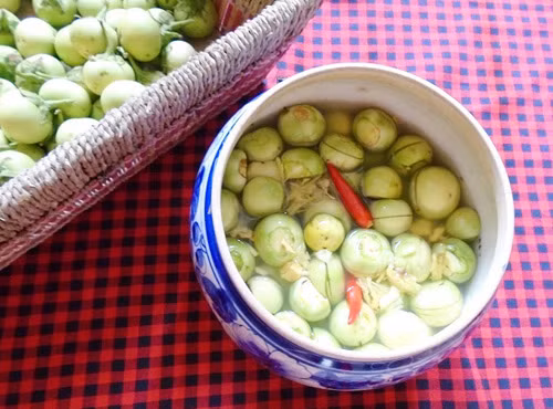 Cách muối cà pháo giòn ngon không bị màng ảnh 3 Cách muối cà pháo giòn ngon không bị màng - 4