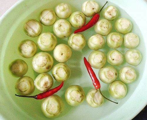 Cách muối cà pháo giòn ngon không bị màng ảnh 1 Cách muối cà pháo giòn ngon không bị màng - 2