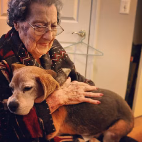 Nhung hinh anh de thuong khien ban muon co ngay 1 chu cho - Anh 8