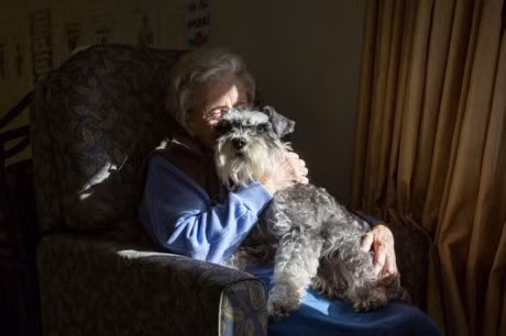 Nhung hinh anh de thuong khien ban muon co ngay 1 chu cho - Anh 10