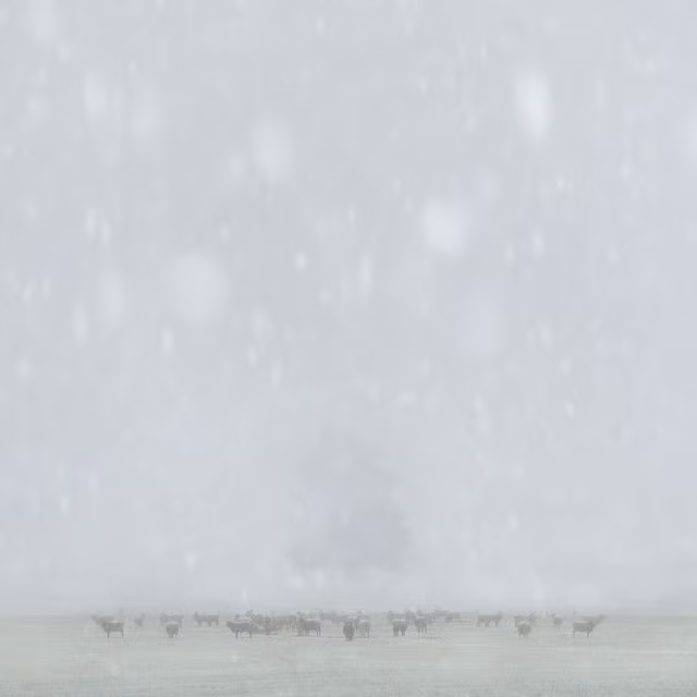 12 bức ảnh phong cảnh đẹp đến ngỡ ngàng ảnh 9