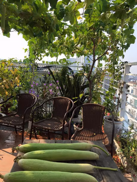 Cach trong muop, bi dao sai triu qua - kinh nghiem tu chi em - Anh 3