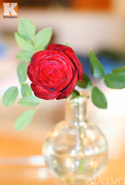 Tỉa hoa hồng nhung từ củ dền đẹp như thật! ảnh 10 tia hoa hong nhung tu cu den dep nhu that! - 10