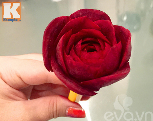 tia hoa hong nhung tu cu den dep nhu that! - 6