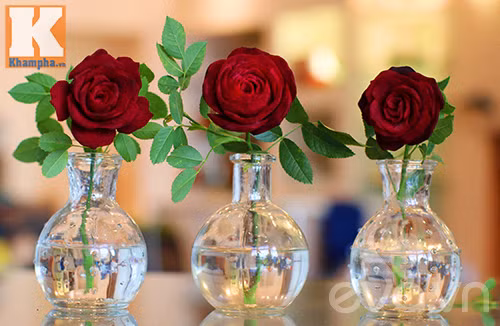 Tỉa hoa hồng nhung từ củ dền đẹp như thật! ảnh 12 tia hoa hong nhung tu cu den dep nhu that! - 12