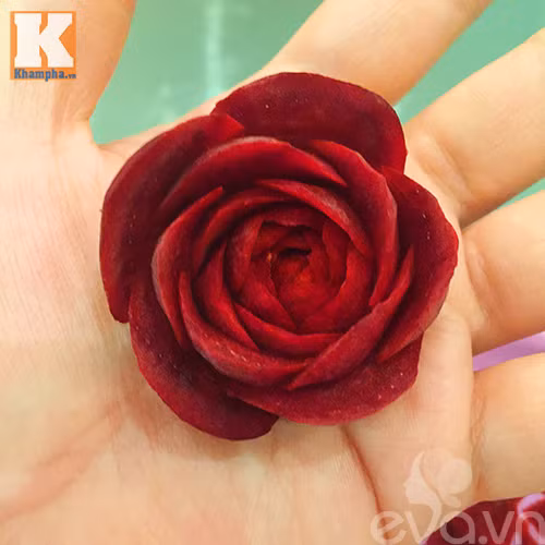 Tỉa hoa hồng nhung từ củ dền đẹp như thật! ảnh 5 tia hoa hong nhung tu cu den dep nhu that! - 5