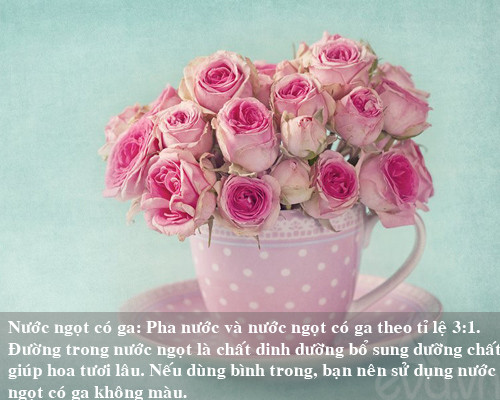 9 bí kíp giữ hoa tươi lâu mẹ nên thủ sẵn ảnh 7 9 bi kip giu hoa tuoi lau me nen thu san - 7