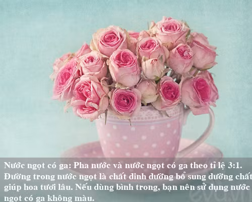 9 bi kip giu hoa tuoi lau me nen thu san - 7