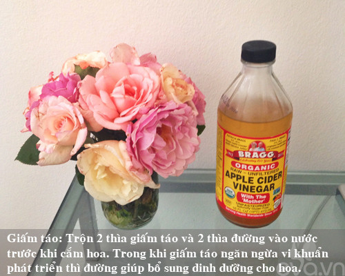 9 bí kíp giữ hoa tươi lâu mẹ nên thủ sẵn ảnh 5 9 bi kip giu hoa tuoi lau me nen thu san - 5