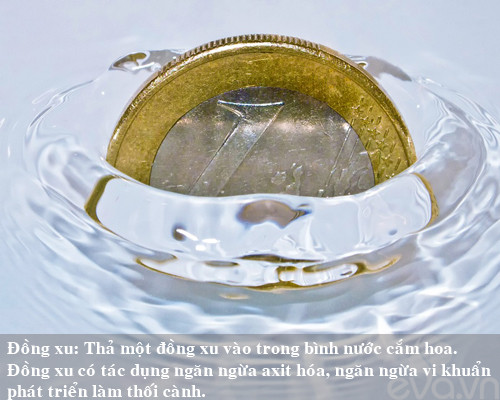 9 bí kíp giữ hoa tươi lâu mẹ nên thủ sẵn ảnh 2 9 bi kip giu hoa tuoi lau me nen thu san - 2