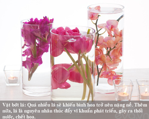 9 bí kíp giữ hoa tươi lâu mẹ nên thủ sẵn ảnh 9 9 bi kip giu hoa tuoi lau me nen thu san - 9