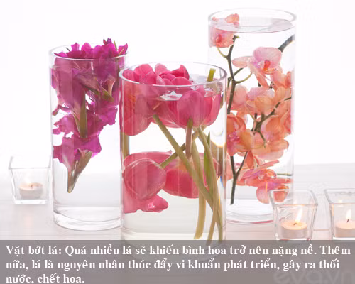 9 bi kip giu hoa tuoi lau me nen thu san - 9