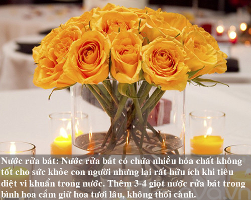 9 bí kíp giữ hoa tươi lâu mẹ nên thủ sẵn ảnh 8 9 bi kip giu hoa tuoi lau me nen thu san - 8