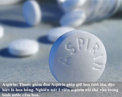 9 bí kíp giữ hoa tươi lâu mẹ nên thủ sẵn ảnh 3 9 bi kip giu hoa tuoi lau me nen thu san - 3