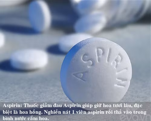 9 bi kip giu hoa tuoi lau me nen thu san - 3