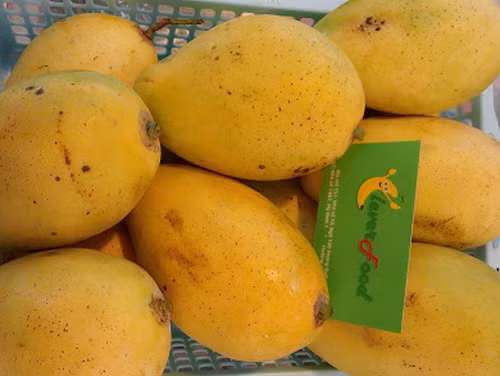 Cách chọn các loại xoài ngon đang vào mùa ít người để ý ảnh 6