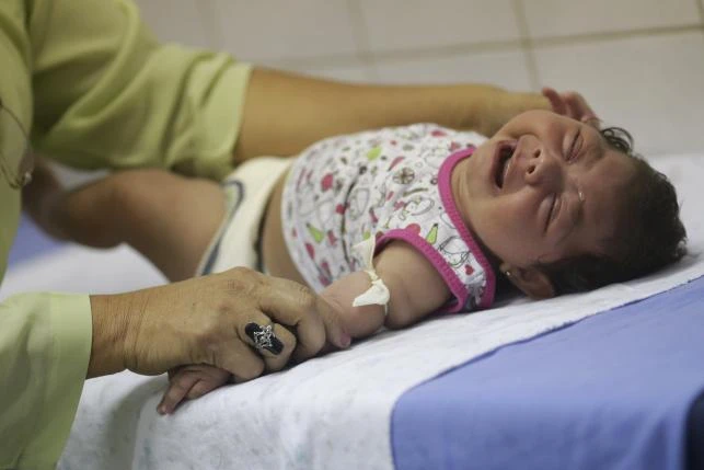 Các nhà khoa học Mỹ thí nghiệm virus Zika trên khỉ