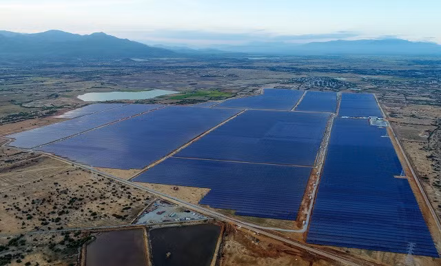 Ảnh: Quỳnh Trần.