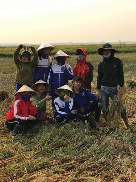 Những bàn tay cầm bút cũng thành thục không kém khi cầm liềm.