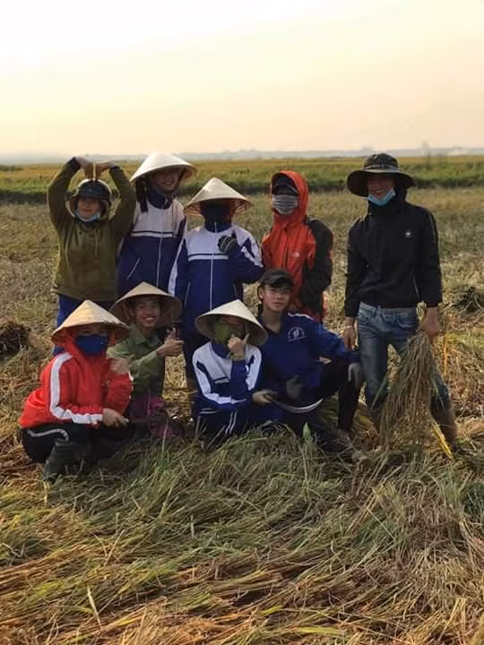 Những bàn tay cầm bút cũng thành thục không kém khi cầm liềm.