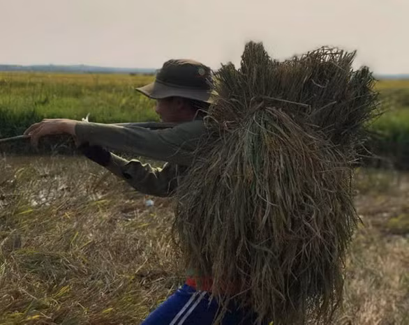 Thầy trò chung tay giúp bạn.