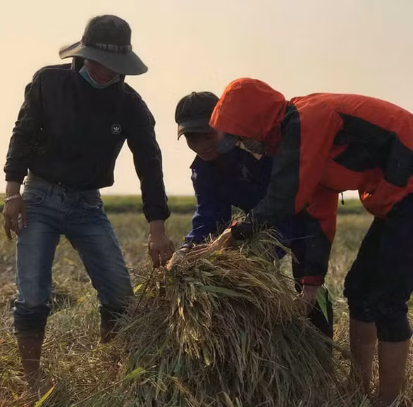 Không chỉ cả lớp đến phụ Tình, cô chủ nhiệm và phụ huynh cũng đi theo.