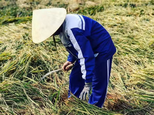 Tình vui vì được các bạn thương, giúp, thầy Nam vui vì thấy học trò có ý thức về sự san sẻ.