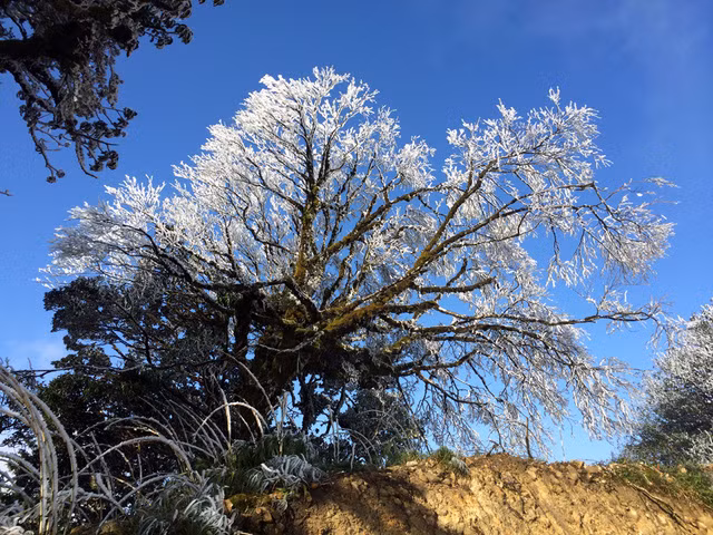 Băng giá phủ trắng vùng núi Lào Cai, Cao Bằng ảnh 14