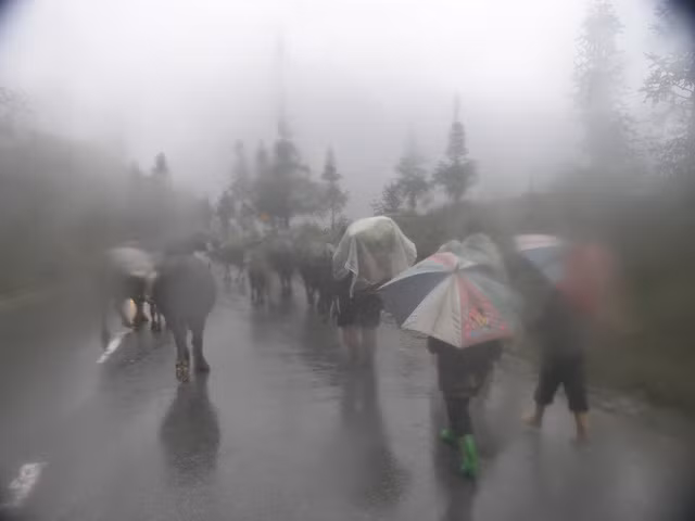 Băng giá phủ trắng vùng núi Lào Cai, Cao Bằng ảnh 11