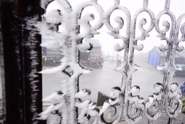 Băng giá phủ trắng vùng núi Lào Cai, Cao Bằng ảnh 4