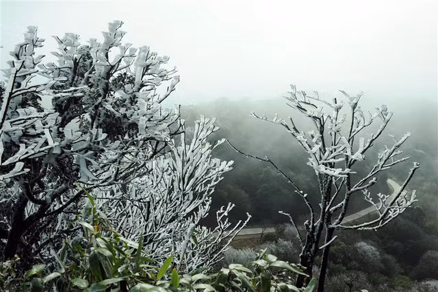 Băng giá phủ trắng vùng núi Lào Cai, Cao Bằng ảnh 19