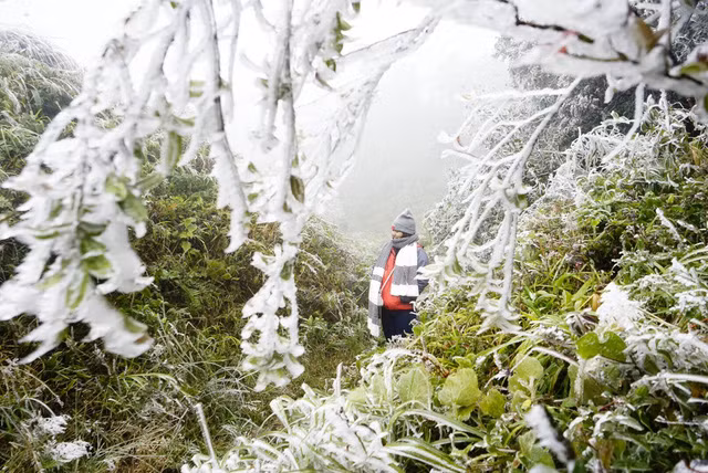 Băng giá phủ trắng vùng núi Lào Cai, Cao Bằng ảnh 2
