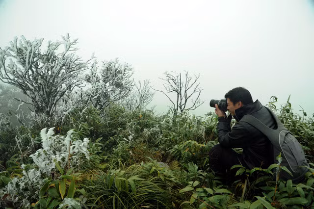 Băng giá phủ trắng vùng núi Lào Cai, Cao Bằng ảnh 24