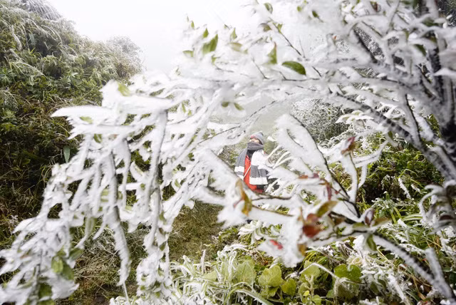 Băng giá phủ trắng vùng núi Lào Cai, Cao Bằng ảnh 5