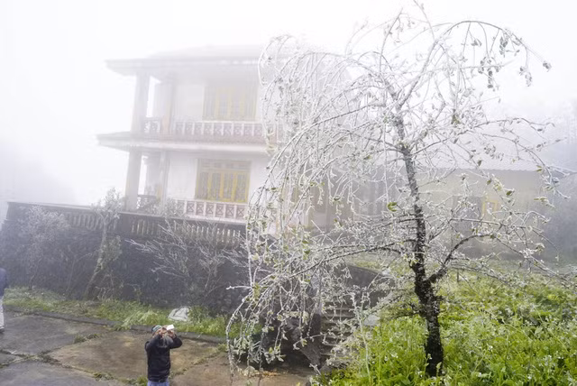 Băng giá phủ trắng vùng núi Lào Cai, Cao Bằng ảnh 6