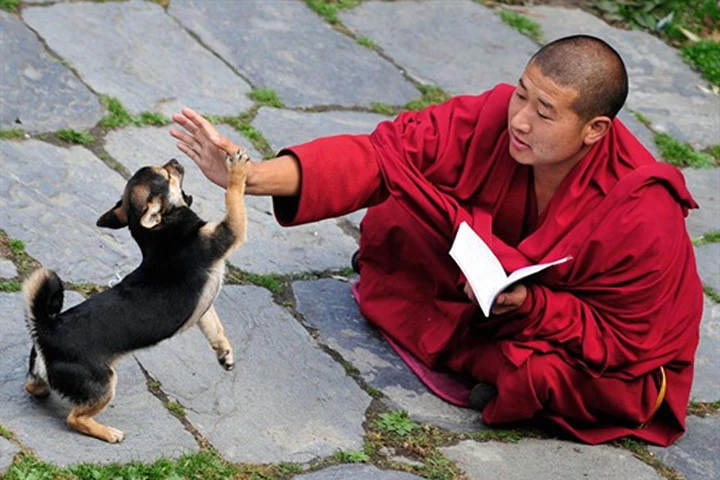 Hãy tha thứ cho người làm mình tổn thương, bạn sẽ gặp điều kì diệu!