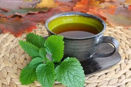 Nhung loai tra thanh mat giup giai nhiet co the 