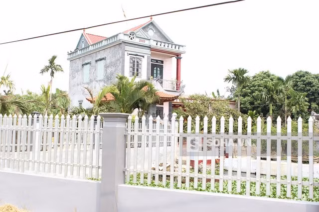  Ngôi nhà Tuấn Anh nổi bật hẳn lên ở vùng quê lúa. 