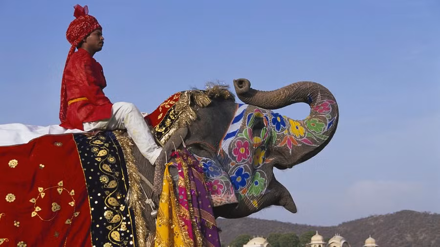 Cưỡi voi ở Ấn Độ.