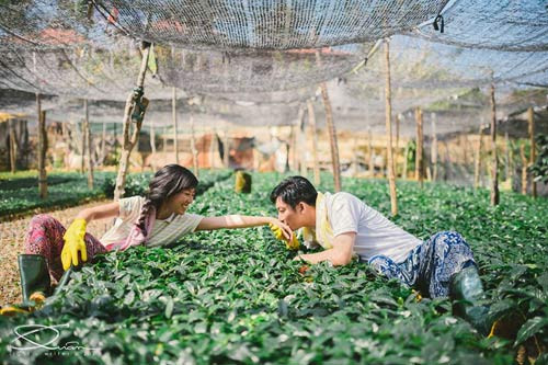 Đẹp long lanh bộ ảnh cưới chụp trong... vườn nhà