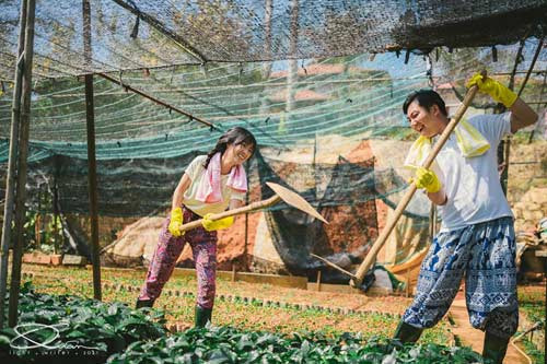 Đẹp long lanh bộ ảnh cưới chụp trong... vườn nhà - 5