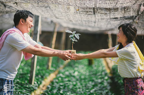 Đẹp long lanh bộ ảnh cưới chụp trong... vườn nhà - 6