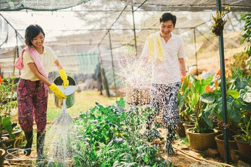 Đẹp long lanh bộ ảnh cưới chụp trong... vườn nhà - 8